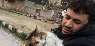 Halep’in kedilerinin koruyucusu