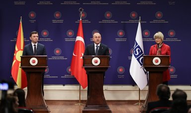 Türkiye urges OSCE reforms to develop cooperation in natural disasters among member states