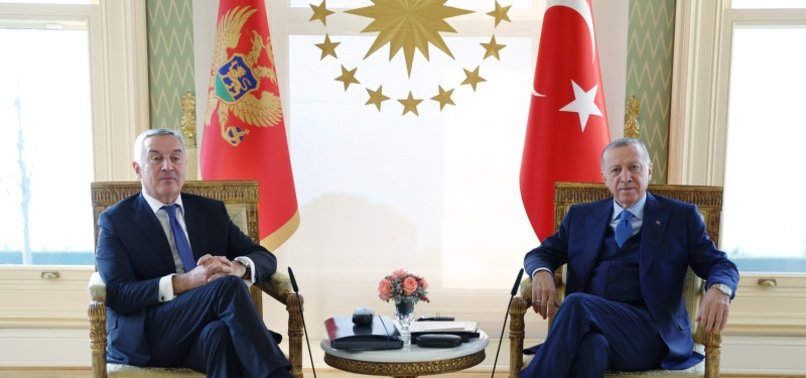 TURKISH, MONTENEGRIN PRESIDENTS MEET IN ISTANBUL FOR TALKS