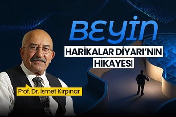 Beyin: Harikalar Diyarı’nın Hikayesi