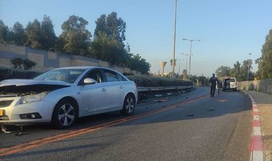 Palestinian brothers killed after being hit by Jewish settler's vehicle in West Bank
