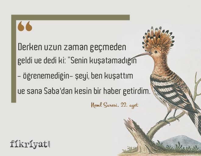 BİR AYET