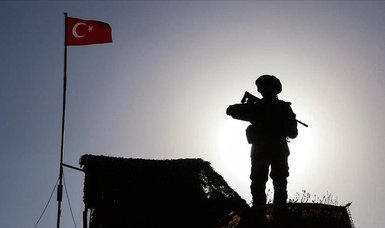 PKK terrorist trying to infiltrate Türkiye from Syria nabbed