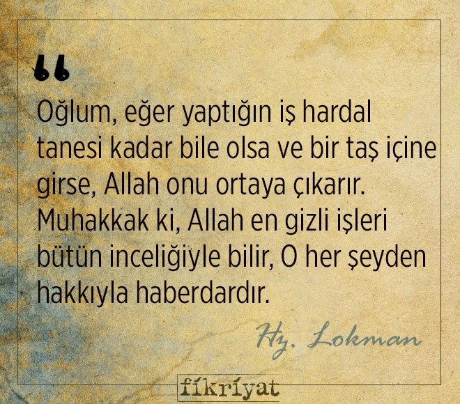 Qiz dostlari hammaning koz ongida yaladi Filmlar: Yalangoch ayol