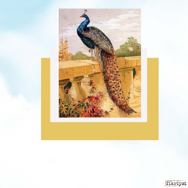 какая птица является священной для мусульман. Смотреть фото какая птица является священной для мусульман. Смотреть картинку какая птица является священной для мусульман. Картинка про какая птица является священной для мусульман. Фото какая птица является священной для мусульман какая птица является священной для мусульман. Смотреть фото какая птица является священной для мусульман. Смотреть картинку какая птица является священной для мусульман. Картинка про какая птица является священной для мусульман. Фото какая птица является священной для мусульман