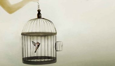 SINIR, HADDİNİ BİLMEKTİR