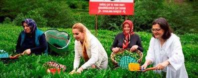 DikkatEnfazla100yıldahaçayiçebiliriz