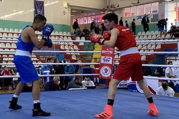 Dünya Boks Şampiyonası