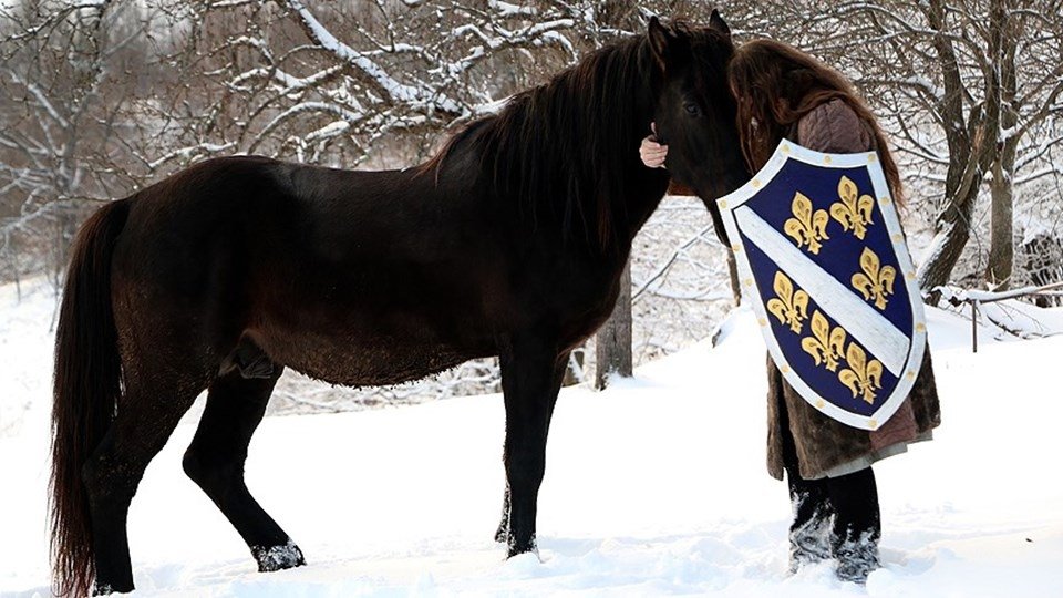 BOSNA KRALLIĞI’NIN ’SON ŞÖVALYESİ’