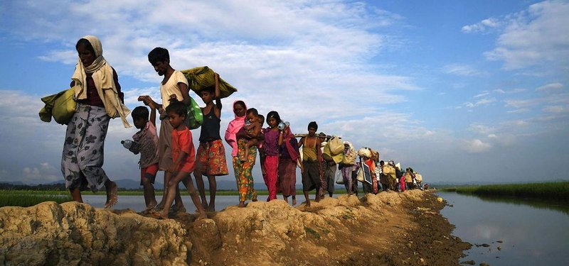Number of refugees at highest level since World War II: UN