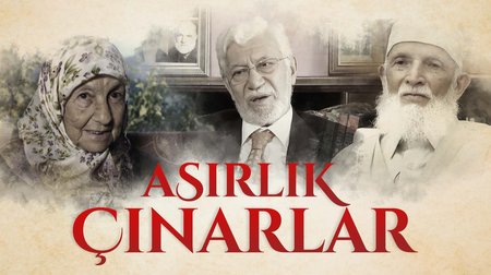 Asırlık Çınarlar