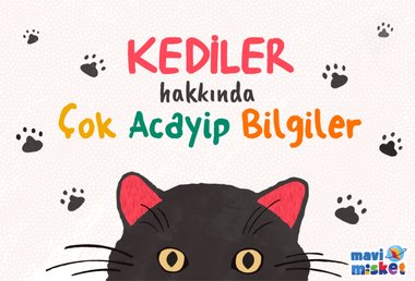 KEDİLER HAKKINDA ÇOK ACAYİP BİLGİLER