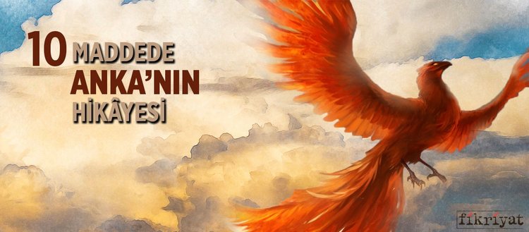 10 maddede anka nin hikayesi fikriyat