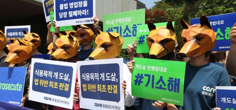 SOUTH KOREAN COURT DEEMS KILLING DOGS FOR MEAT ILLEGAL