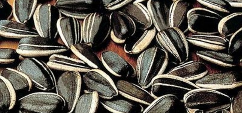 SUNFLOWER SEEDS: TURKS SPEND TL 1.2B ANNUALLY ON THEIR FAVORITE SNACK