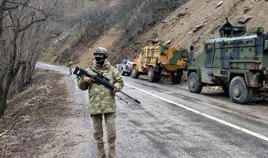 2 PKK terrorists surrender to Turkish security forces
