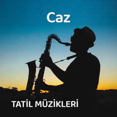 Tatilde Caz