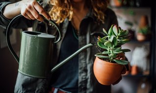 Yapay çiçek out, canlı çiçek in!