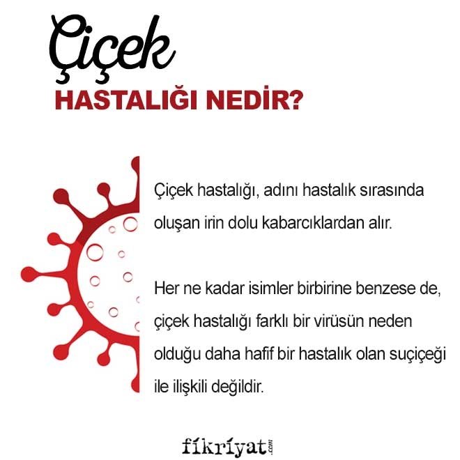 ÇİÇEK HASTALIĞI NEDİR?