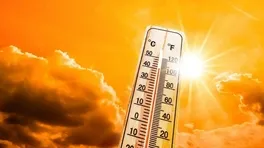 Avrupa'da Aşırı Sıcaklar Can Alıyor