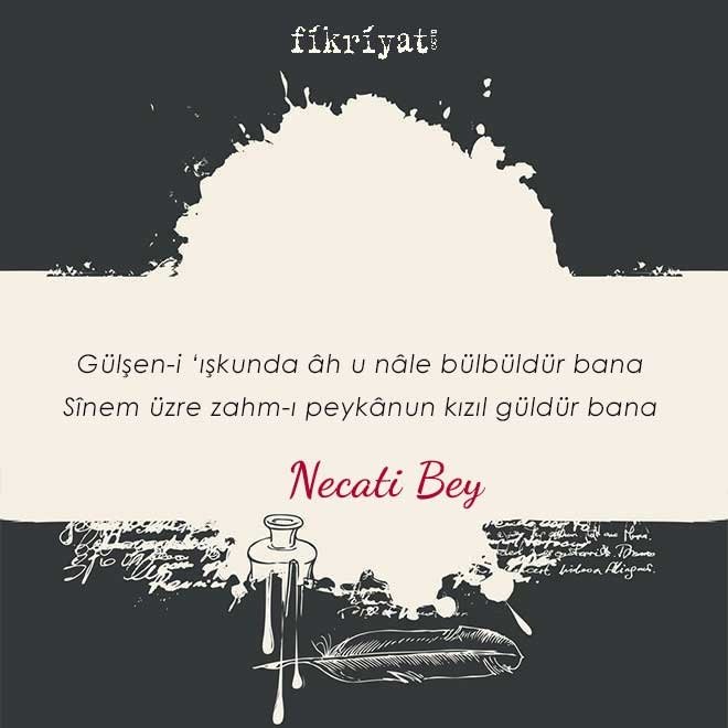 ŞAİRLER KENDİLERİNİ AŞIK OLARAK TAKDİM EDER