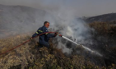 Total of 470,000 acres of forest land burned in Greece in 2nd half of July