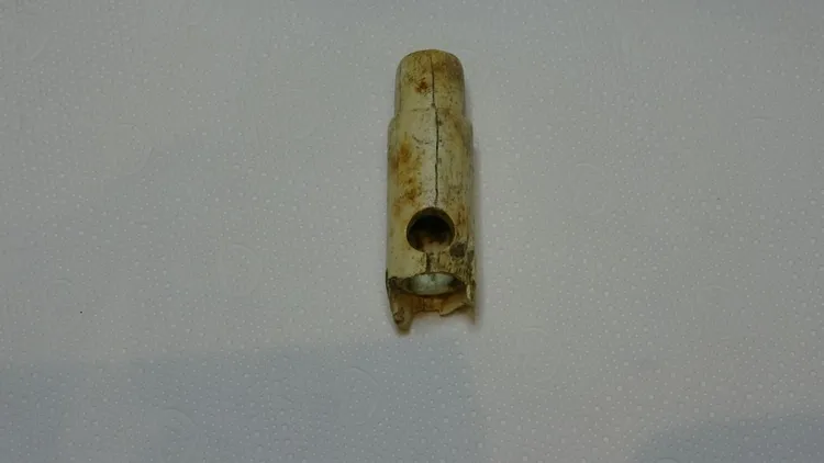First musical instrument found in Troy in over 160 years of excavation history