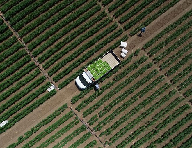 5 Aralık Dünya Toprak Günü