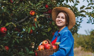 Meyveciliğe yatırımın tam zamanı!