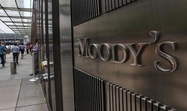 Turkey boasts 'large, diversified, resilient economy': Moody's Investors executive