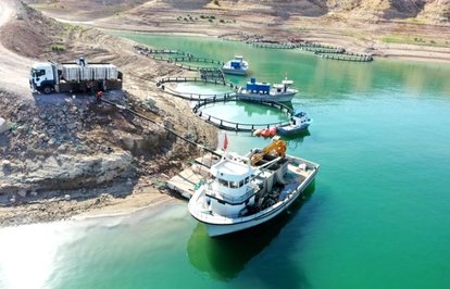 Kayseride1400tonsomonbalığıüretildi