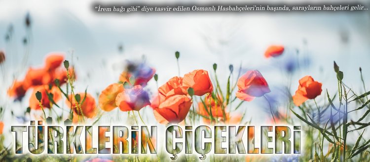 Turklerin Cicekleri Fikriyat Gazetesi