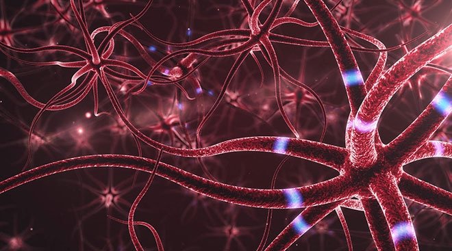 JET-LAG BEYİN HASARI OLUŞTURABİLİR!