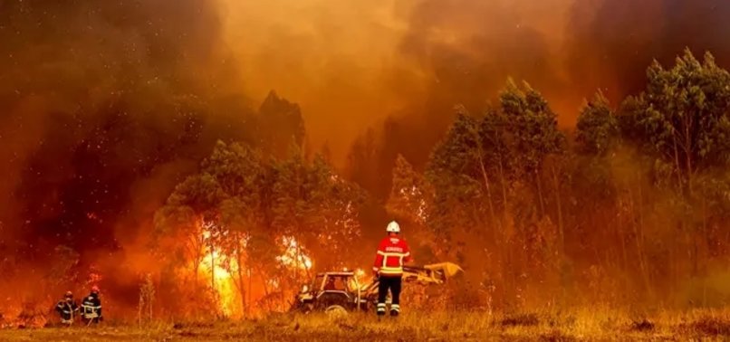 WILDFIRES IN PORTUGAL CLAIM 7 LIVES