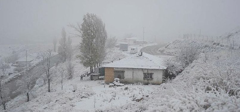 FIRST SEASONS SNOWFALL FOR TURKEYS CAPITAL