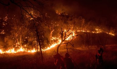 Wildfire kills 4 in northwestern Pakistan