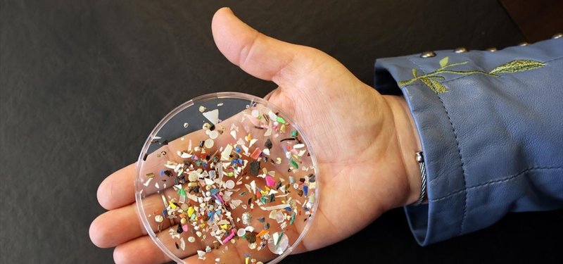 Microplastics found to cause cancer and reproductive disorders