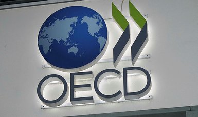 World economy to slow, 'paying the price of war': OECD
