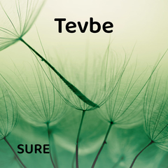 Tevbe Suresi'ni Arapça Dinle 