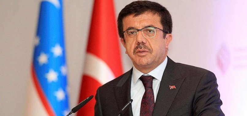 TURKISH MINISTER PLAYS DOWN DOLLAR, LIRA RATE HIKE
