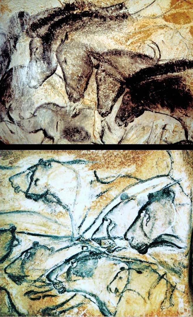 1-Chauvet Kaya Resimleri – M.Ö 30000