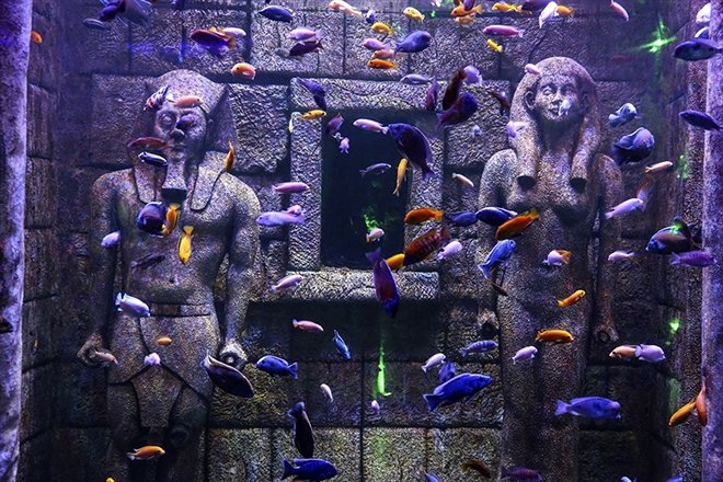 VIASEA AKVARYUM, TEMA PARK VE ASLAN PARK