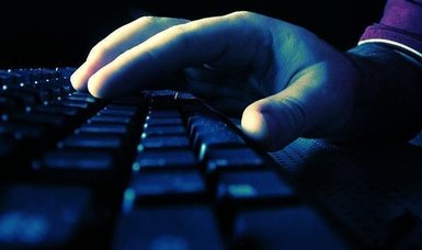 Russian hacking group claims responsibility for cyberattacks on Danish websites