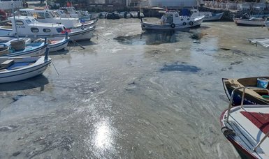 Expert warns of threat mucilage poses to small boats in Dardanelles
