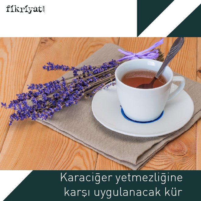 KARACİĞER YETMEZLİĞİ, HEPATİT-B VE HEPATİT-C’YE KARŞI KÜR