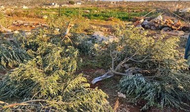 Israeli forces turn farmlands belonging to Palestinians into barren lands by uprooting trees and vegetation