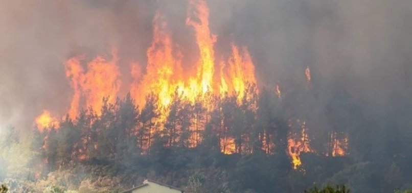 IPHONE PREVENTED FOREST FIRE, SENT SIGNAL VIA SATELLITE