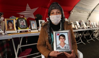 2 more Kurdish families join anti-PKK sit-in protest in SE Turkey