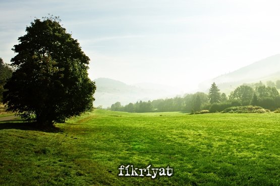 Ahiret halleri nelerdir?