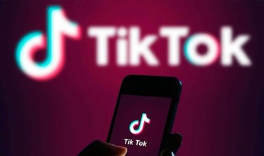 TikTok to appoint representative in Turkey
